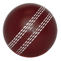 Crickball gif